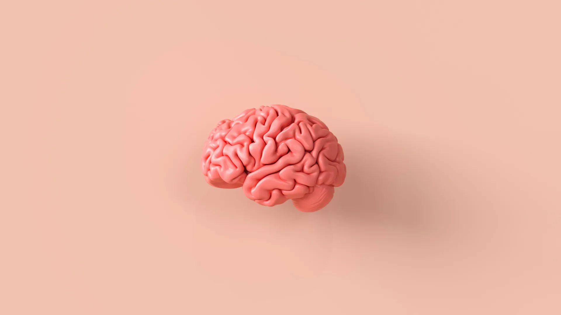 Alimentos que fortalecem o cérebro e previnem o declínio cognitivo - img