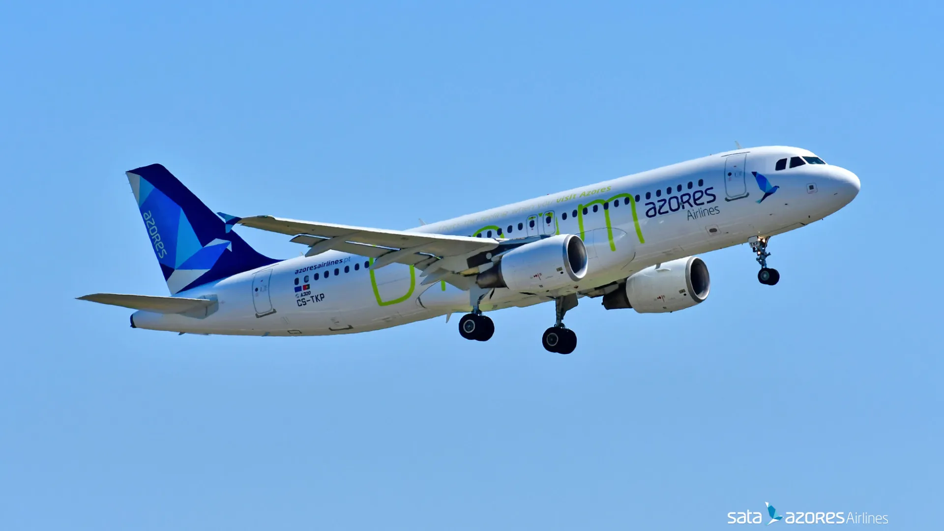 Avião faz pouso de emergência em Portugal após atingir bando de gaivotas - img