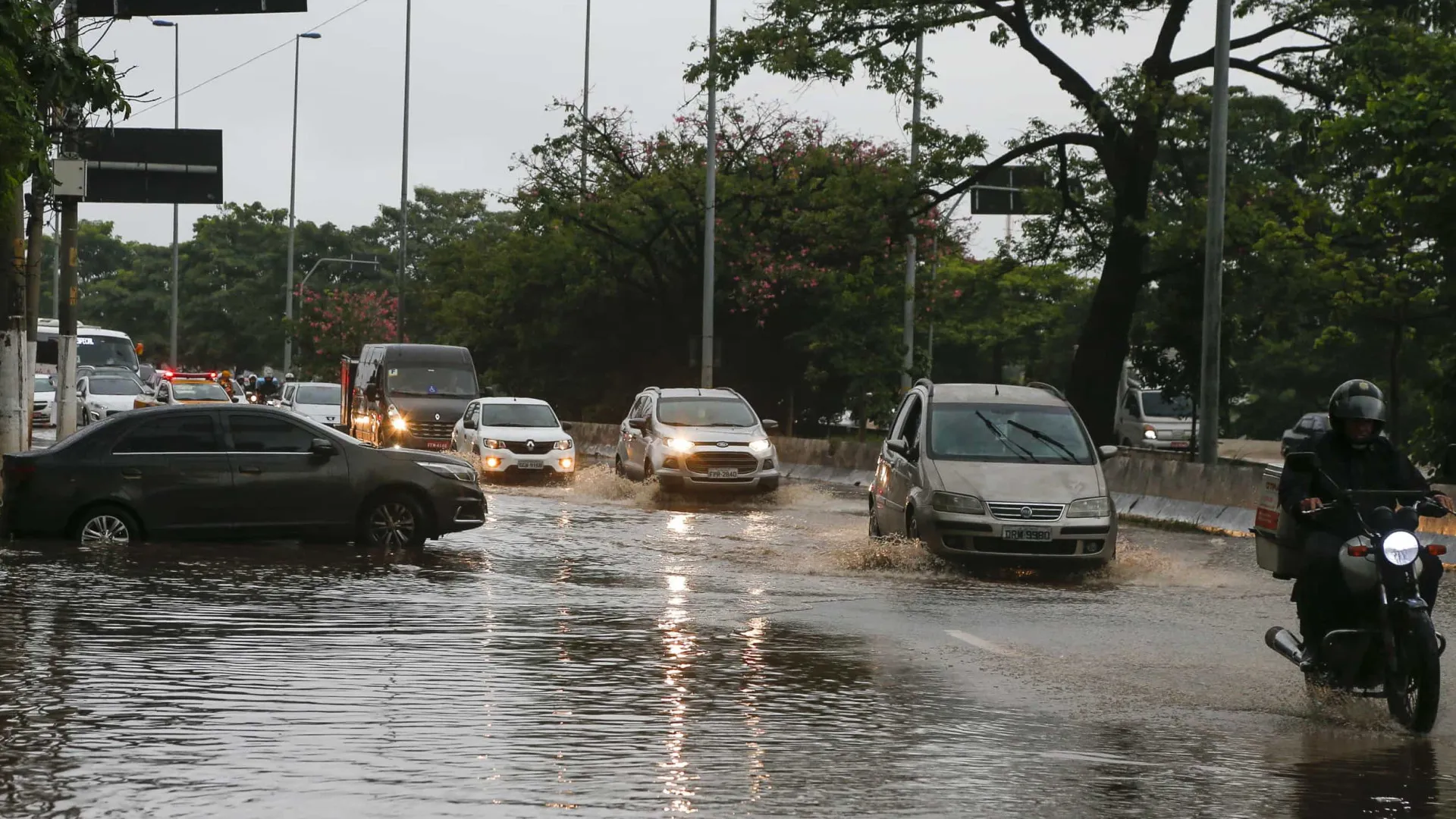 Chuva causa uma morte, derruba árvores e provoca apagão em São Paulo - img