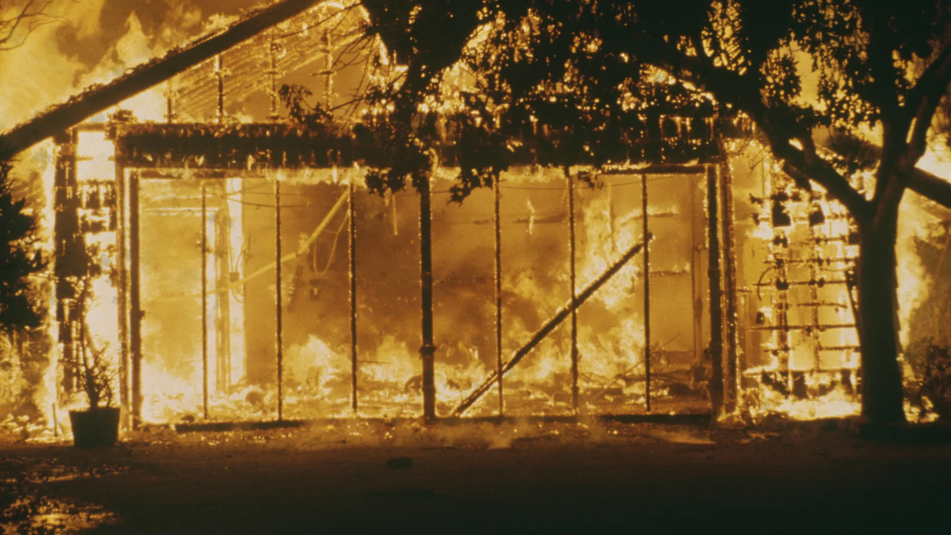 Incêndios nos EUA geram debate sobre resistência de casas de madeira - img