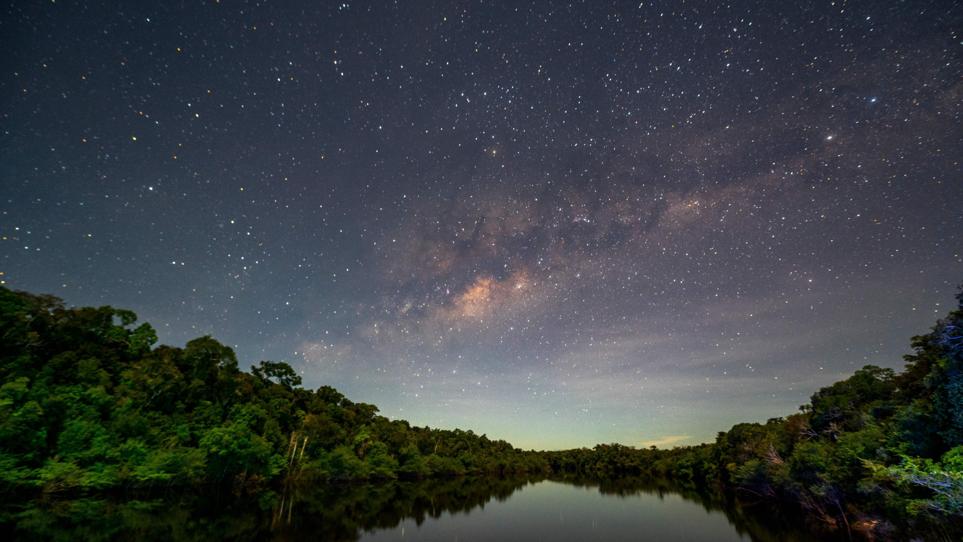 Lei aprovada em Mato Grosso quer converter Amazônia em Cerrado - img