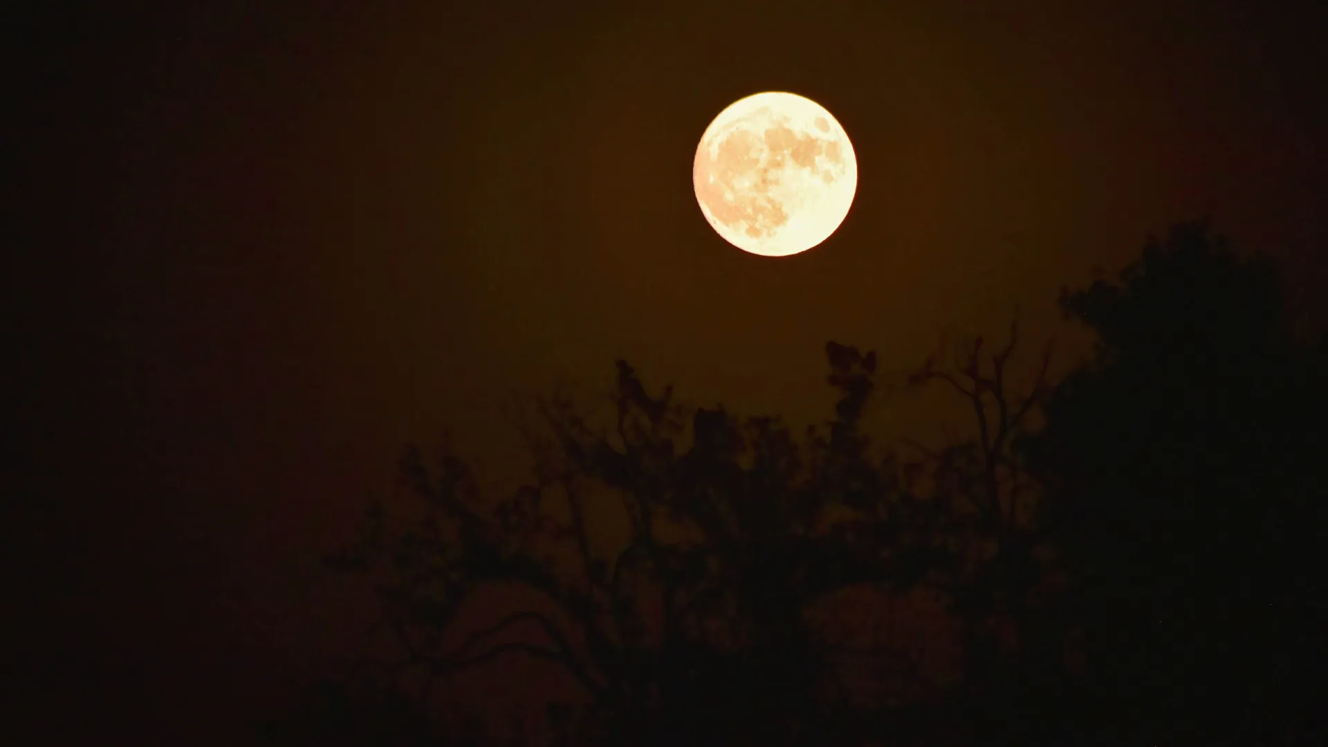 Maior superlua do ano pode ser vista nesta quinta-feira - img