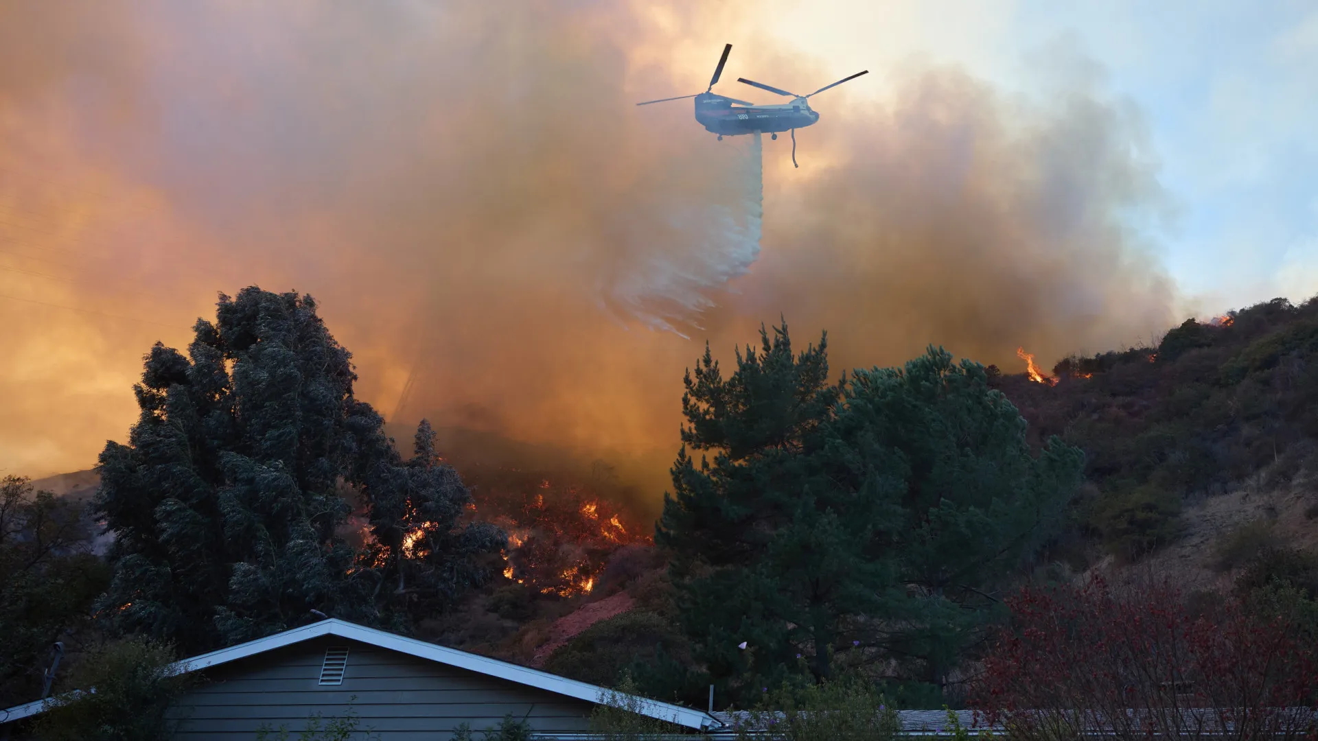 Sobe para 16 o número de mortos nos incêndios florestais em Los Angeles - img