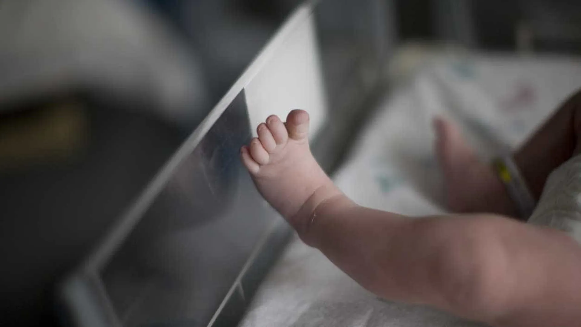 Bebê de 8 meses morre em creche municipal, em São Paulo - img