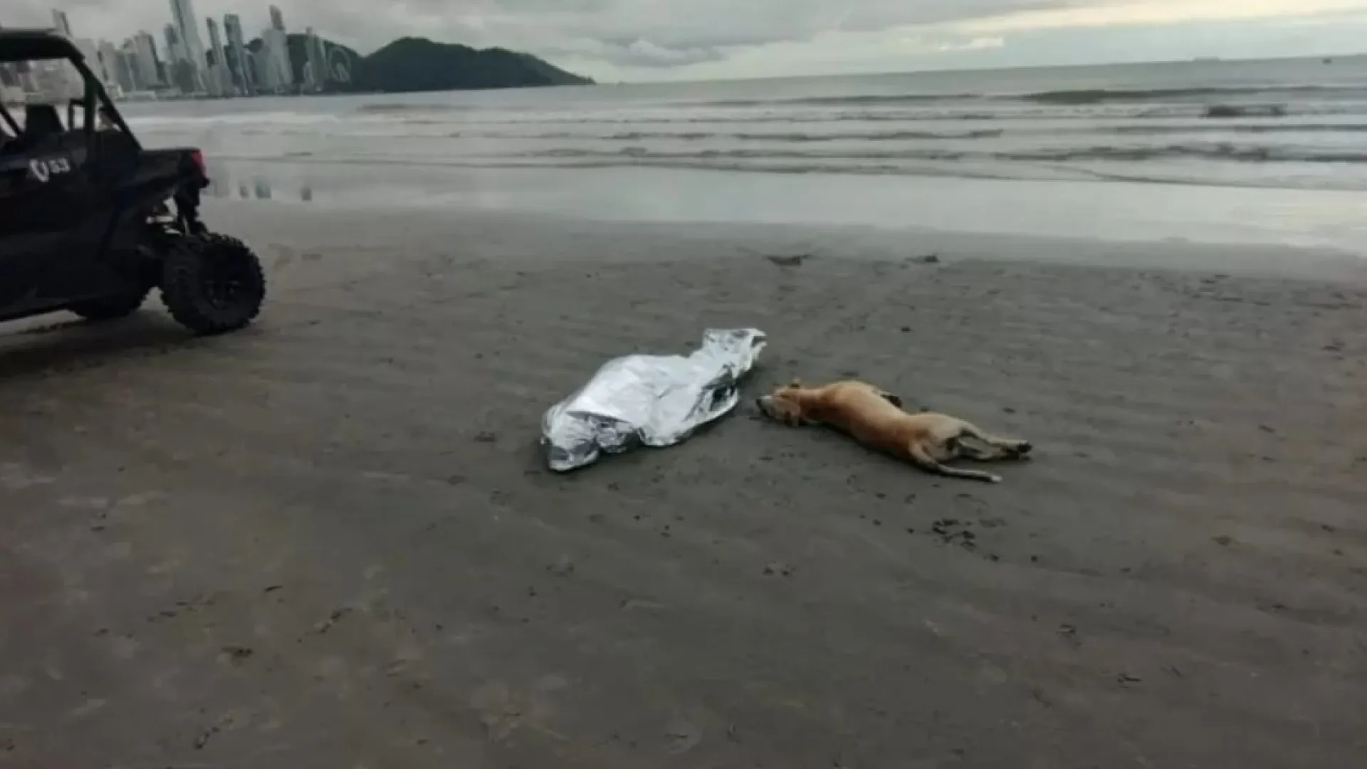 Cachorro fica ao lado do corpo do dono morto afogado em praia de SC - img