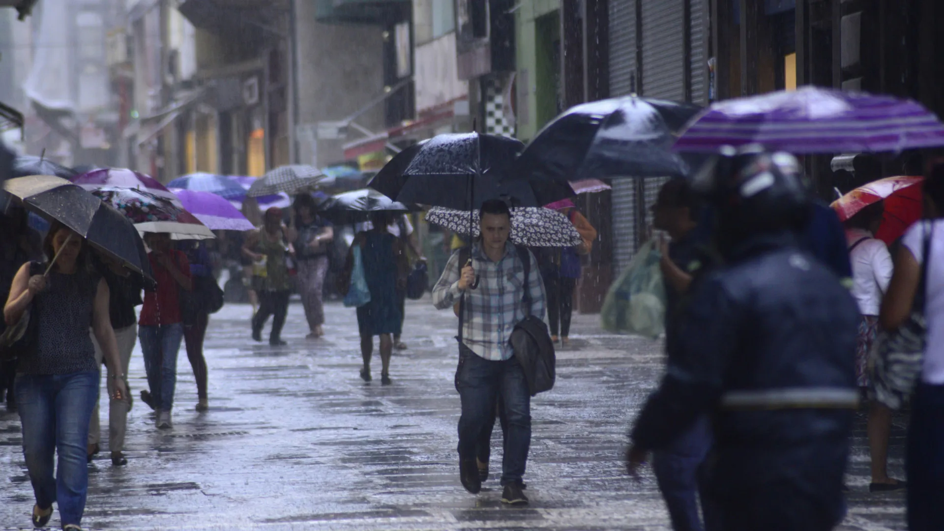 Chuva e ventos fortes: Como se preparar para temporais - img