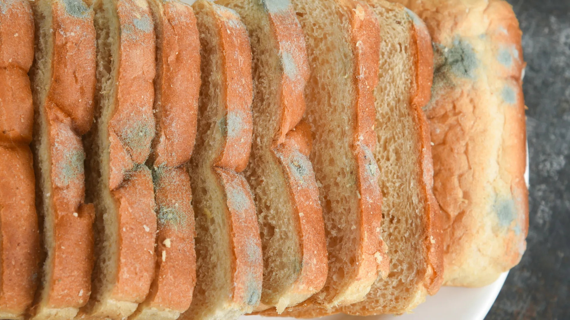 Comer alimentos com bolor: riscos e como agir ao consumir por acidente - img
