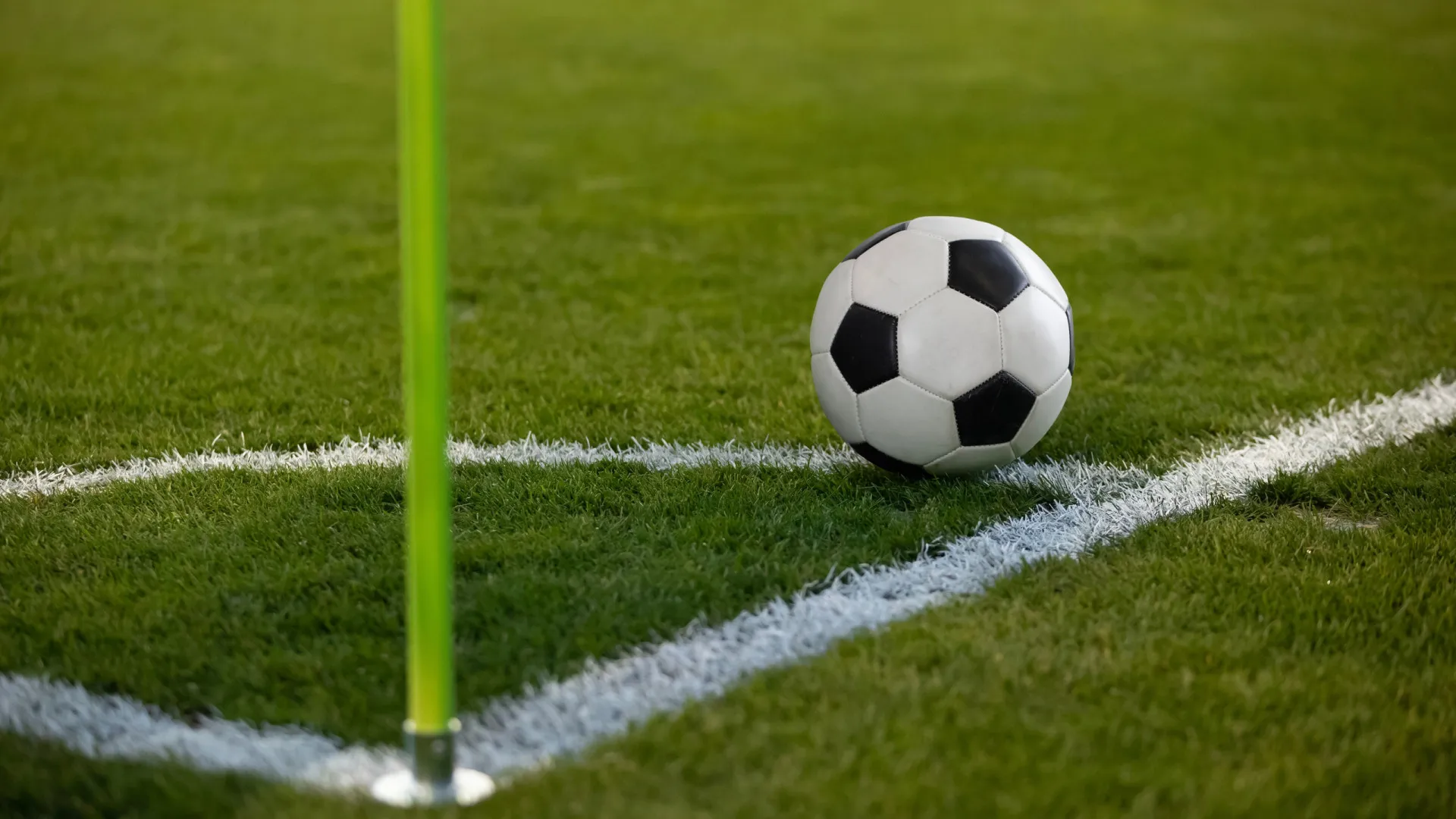 Copa Sul-Americana começa com três times brasileiros em campo - img