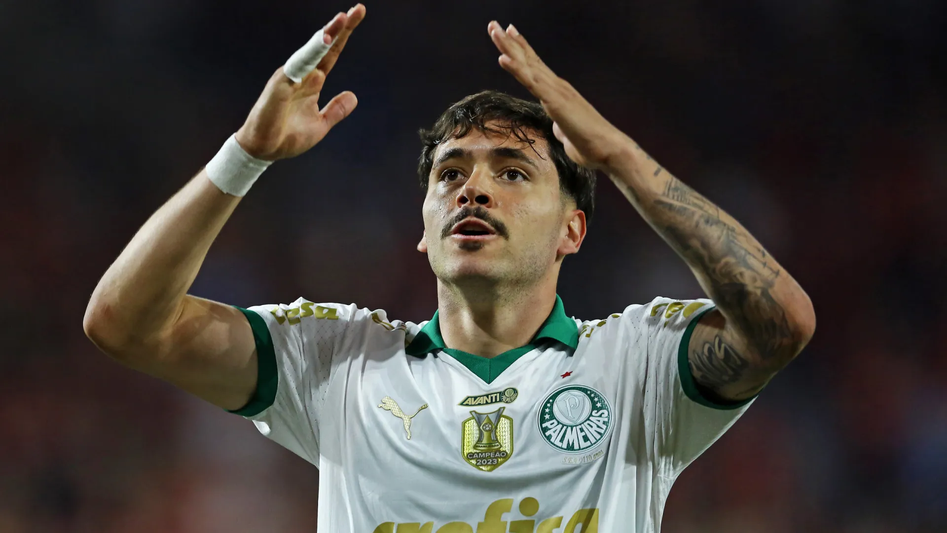 Palmeiras mira tetra inédito, mas sem terra arrasada: 'Ninguém vai morrer' 1 Palmeiras mira tetra inédito, mas sem terra arrasada: 'Ninguém vai morrer' - img