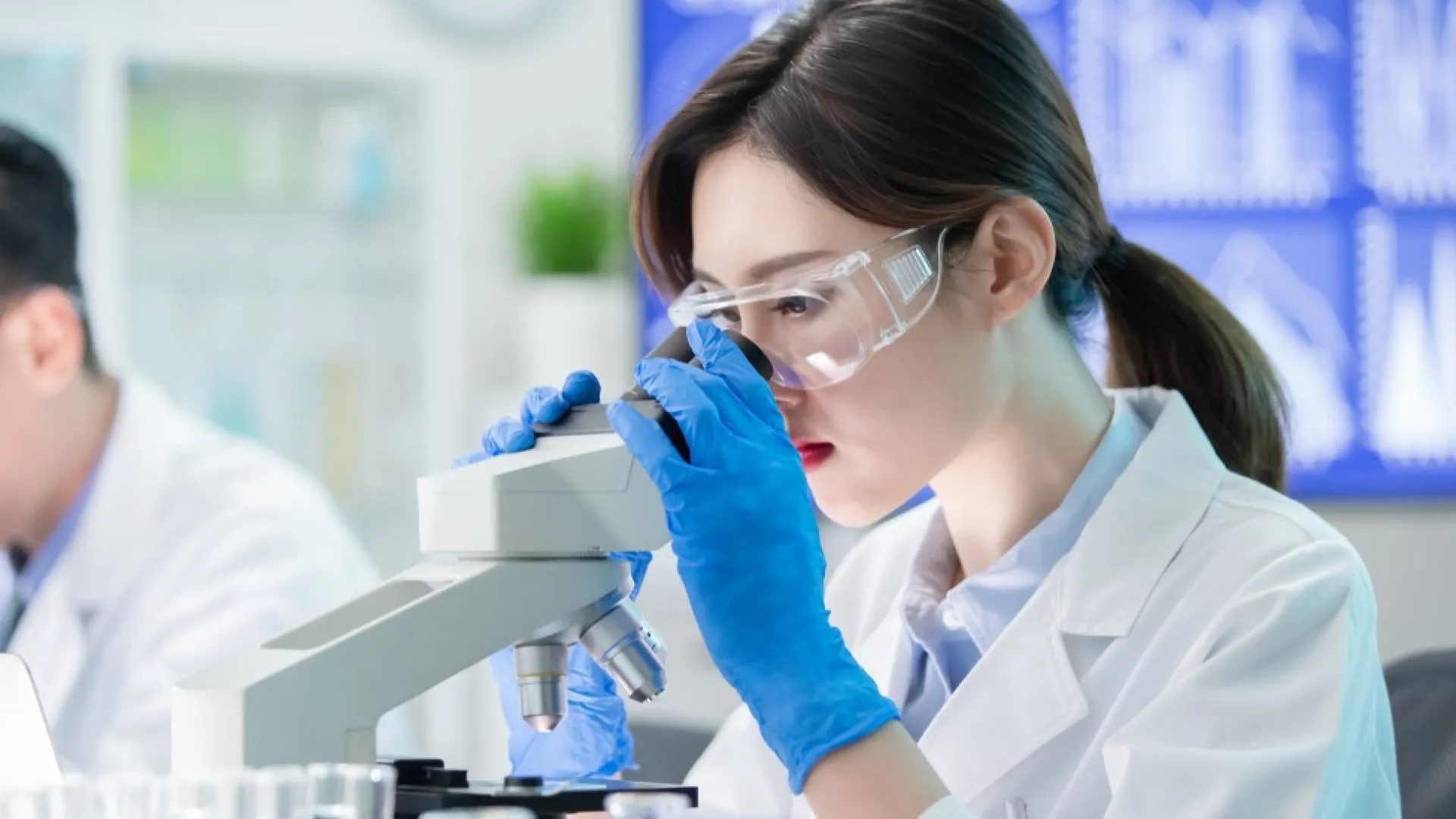 Esperança antienvelhecimento: Cientistas rejuvenescem cobaias restaurando células velhas - img