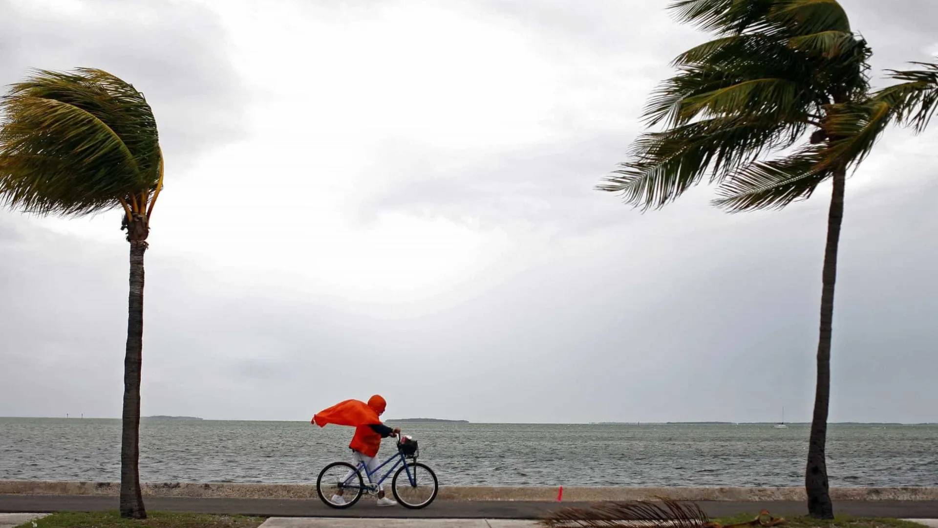 Inmet emite alerta para chuvas intensas e ventos de até 60 km/h no Brasil - img