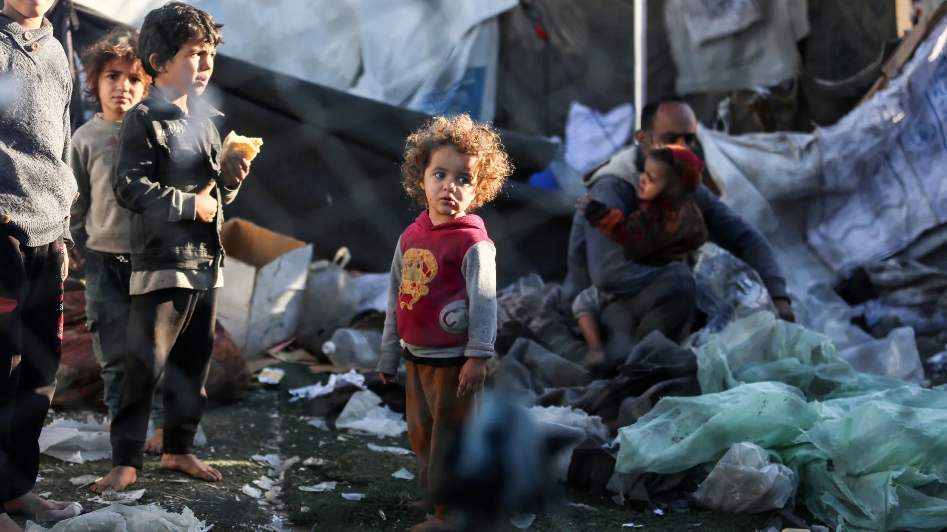 Médicos Sem Fronteiras relata cenário apocalíptico em Gaza e aponta genocídio - img