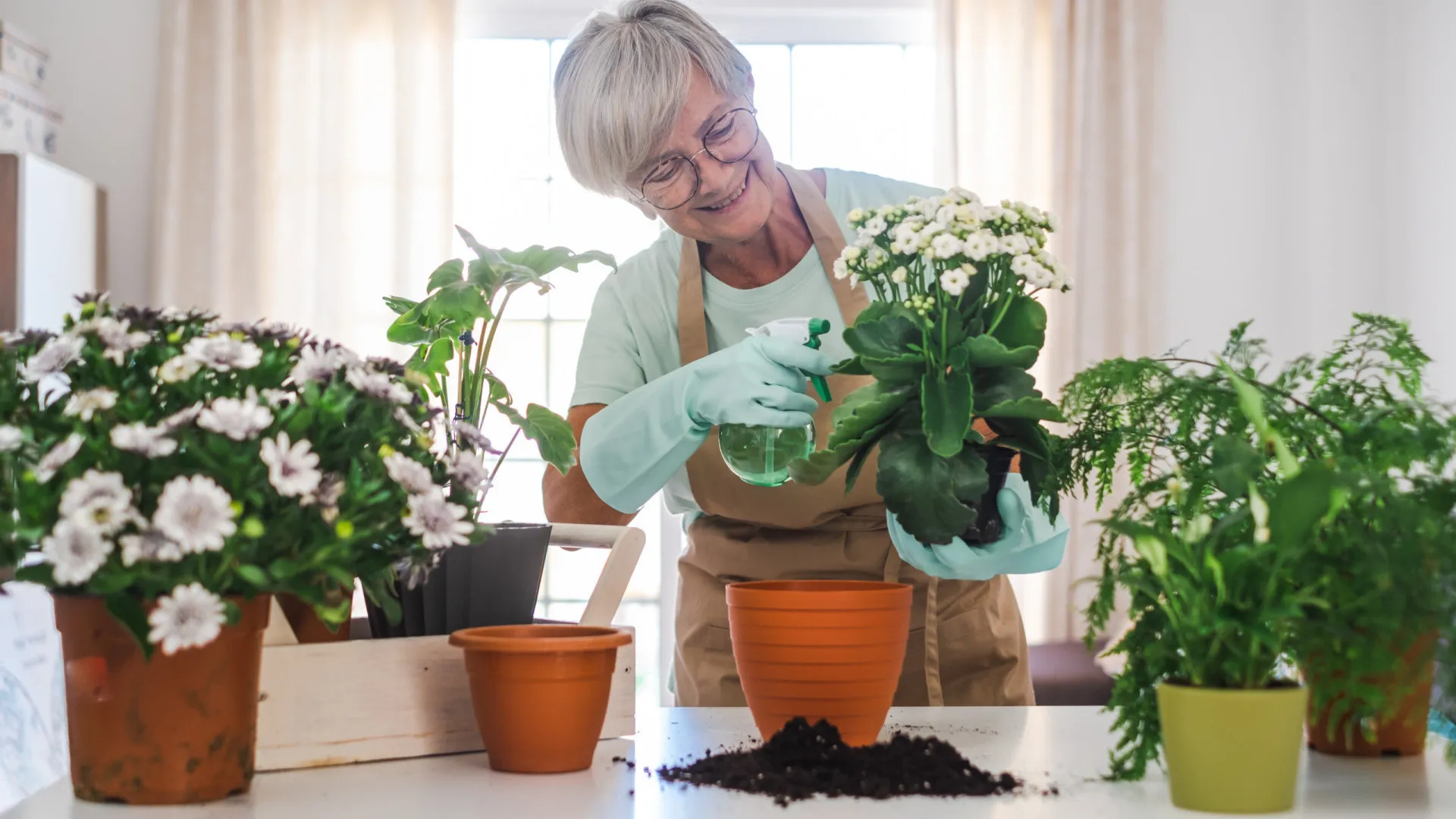 Saiba como manter suas plantas vivas quando estiver viajando - img