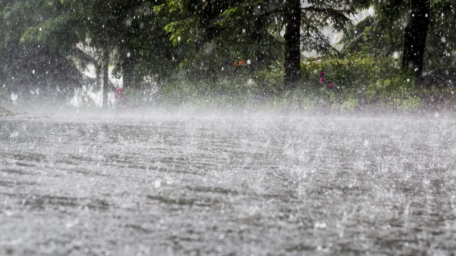 Santa Catarina tem alerta alto para enxurradas e deslizamentos - img