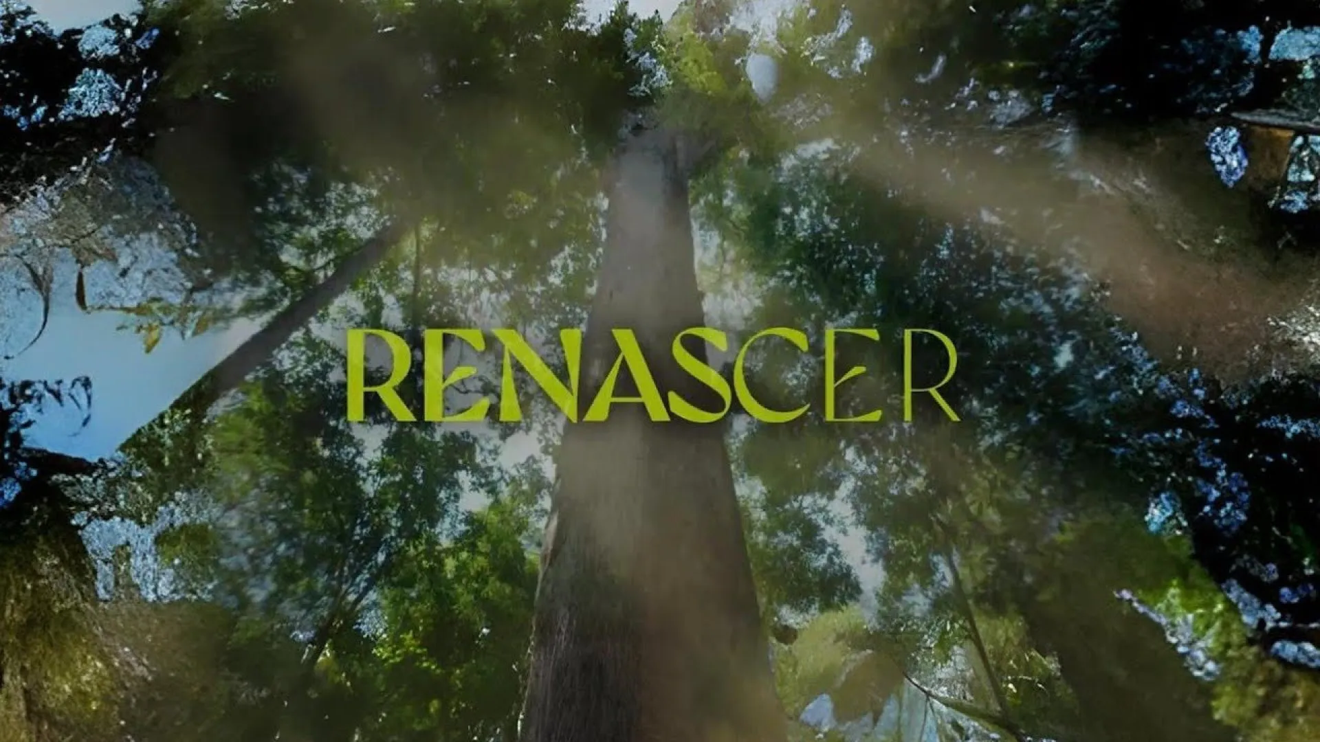 Fazenda de 'Renascer' está à venda por R$ 1,8 milhão - img