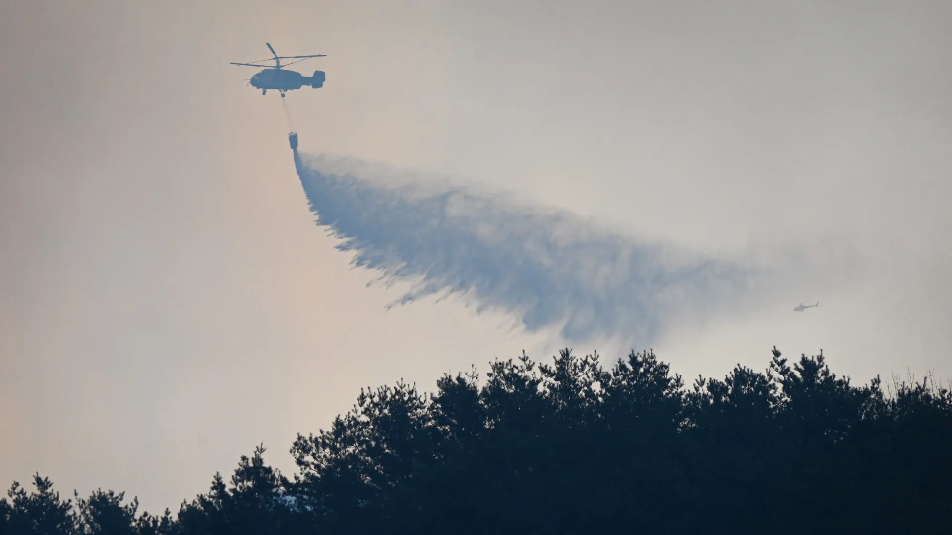 Incêndios florestais fazem quatro mortos e seis feridos na Coreia do Sul - img