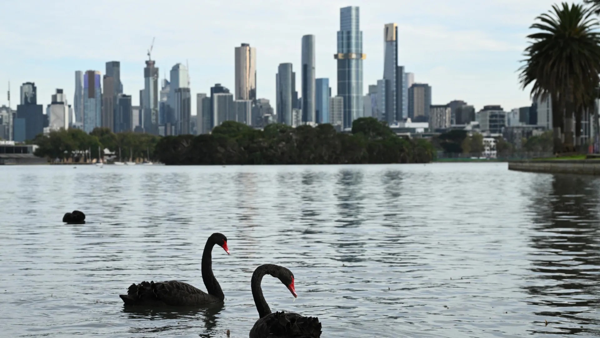 Mudanças climáticas reduzem níveis de oxigênio em lagos ao redor do mundo - img