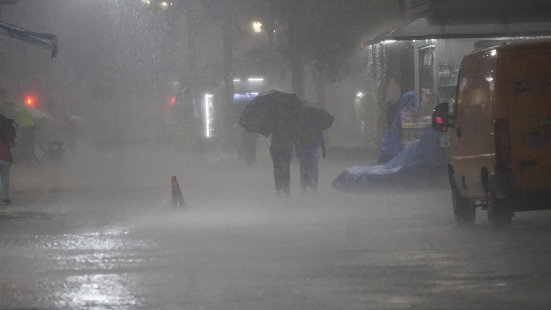 Temporal em SP derruba 158 árvores, mata 1 e deixa 173 mil sem luz - img