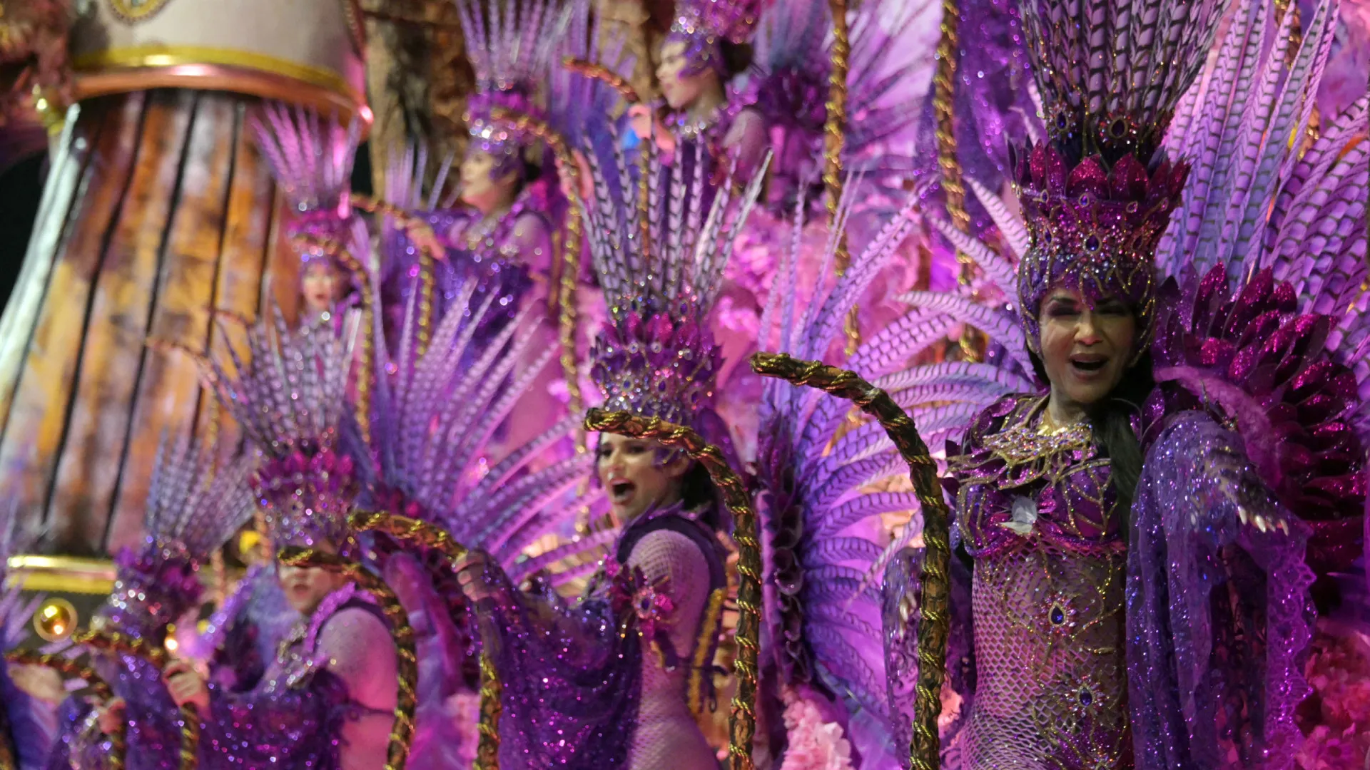 Vai-Vai fecha carnaval de São Paulo com 'passeio' por obra e vida de Zé Celso - img