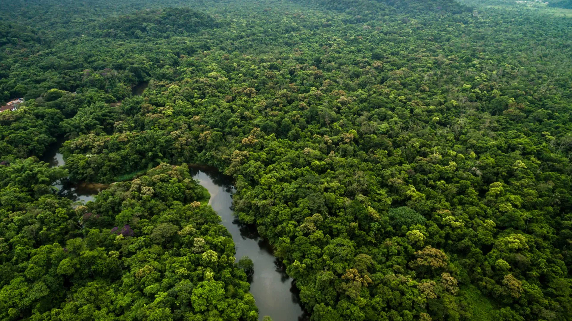 Brasil reduz 70% da área queimada no primeiro trimestre de 2025 - img