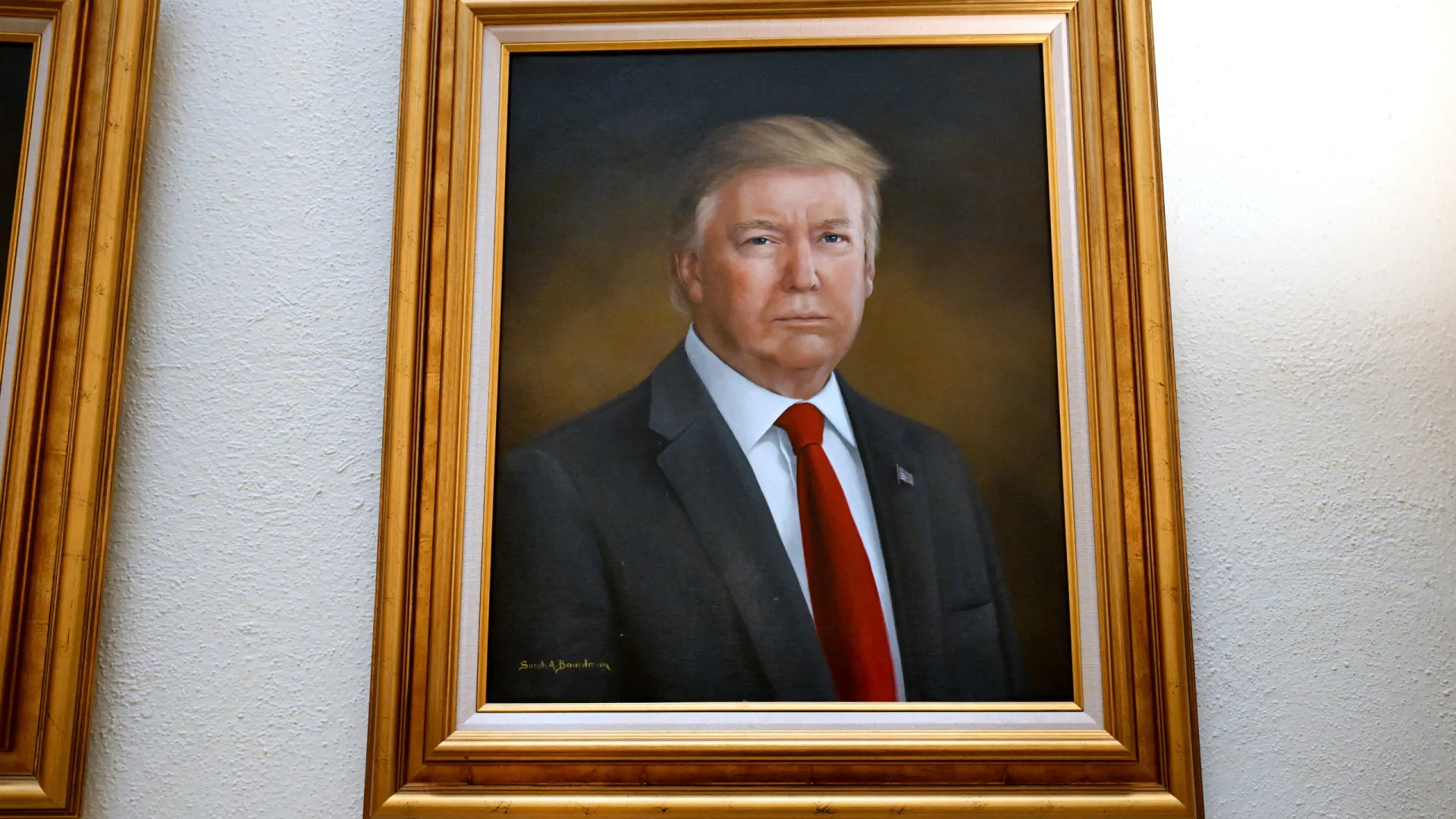 "Claramente o pior"? Autora de retrato reage após críticas de Trump - img