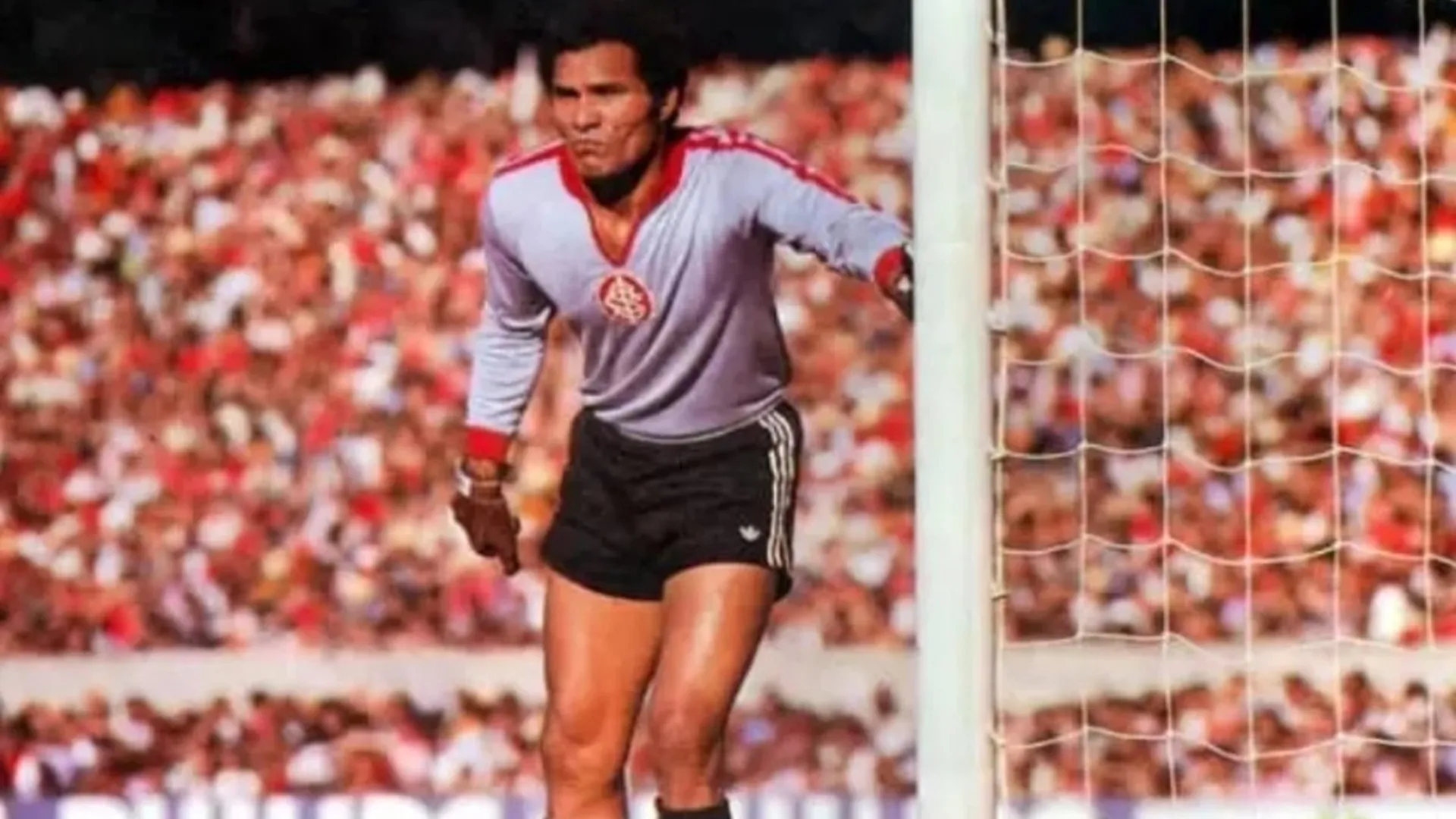 Morre aos 87 o ex-goleiro Manga, ídolo de Botafogo e Internacional - img