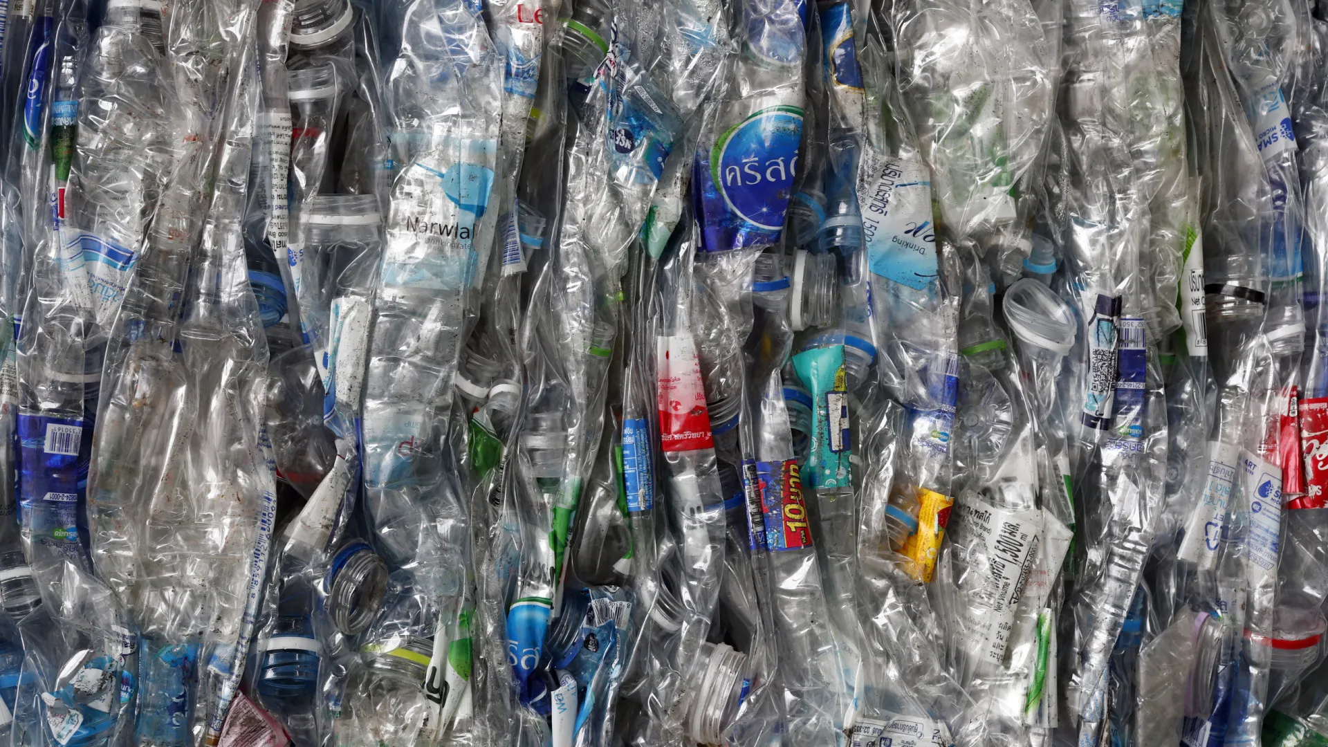 Nível de microplásticos no ambiente pode ser 3 vezes superior em 2060 - img