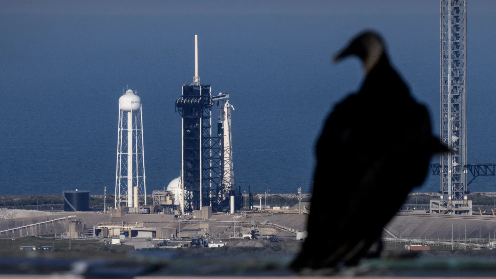 SpaceX lança 1.ª missão espacial tripulada sobre os pólos da Terra - img