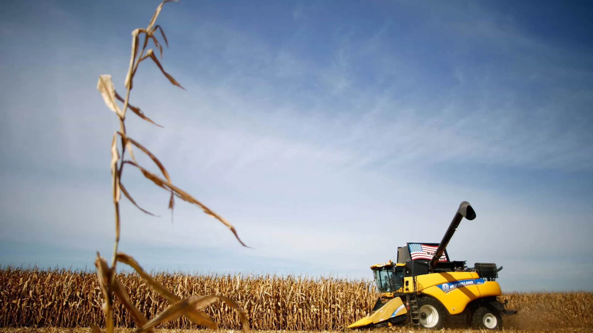 Governo lança Plano Safra para agricultura familiar com repasse de R$ 89 bi - img
