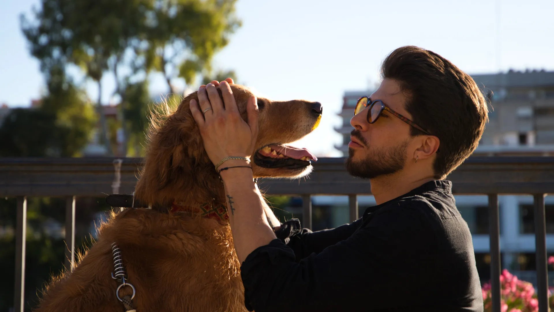 Gigante quer lançar tradutor de sons e gestos de animais para humanos - img