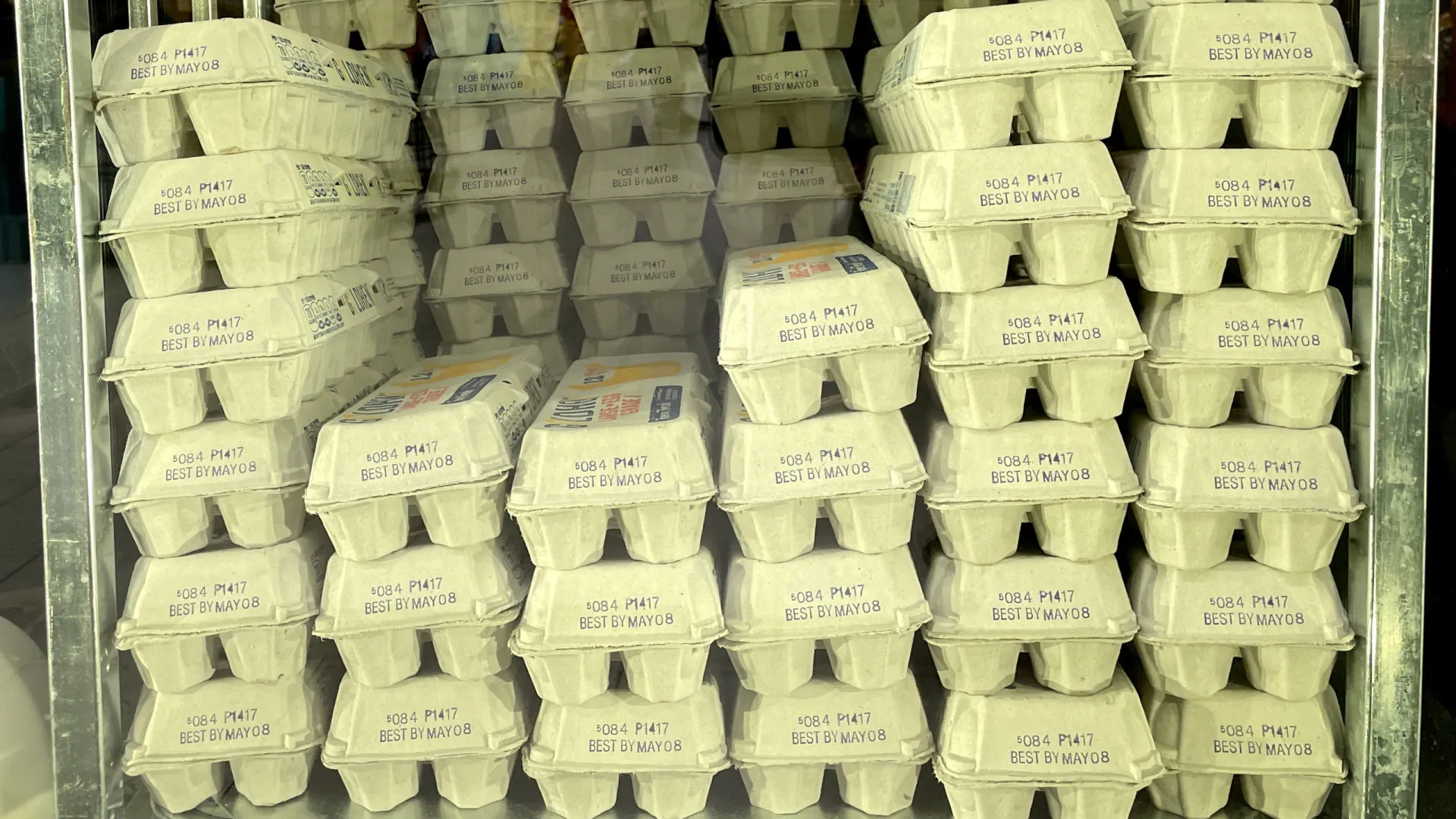Gripe aviária: Uruguai flexibiliza restrição para importação de produtos avícolas do Brasil - img