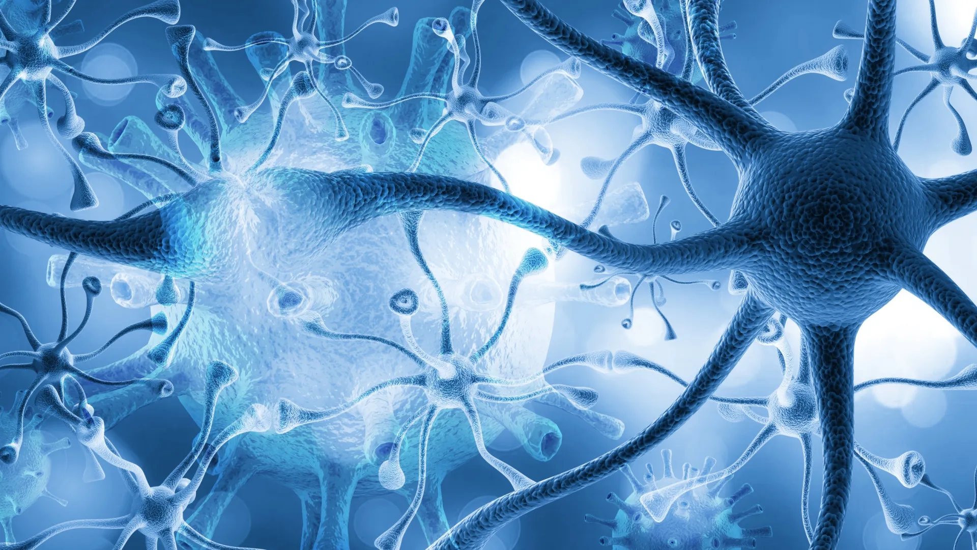 Infecção por parasita comum pode prejudicar seriamente a função cerebral - img
