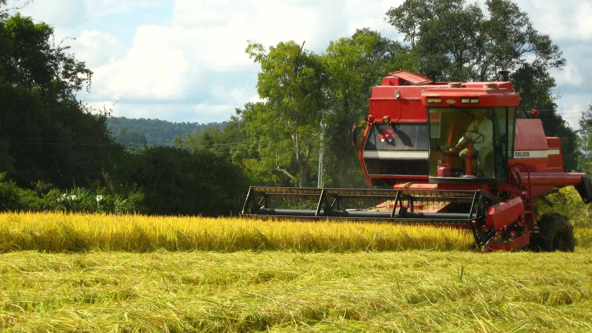 LCA, LCI, CRI e CRA: entenda o que são e para que servem - img