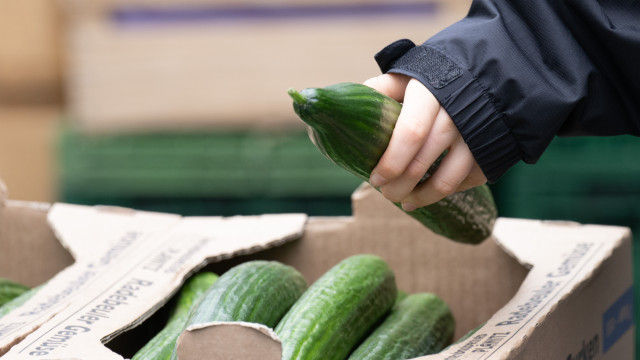 Oito alimentos que nunca devem ser preparados no microondas - img