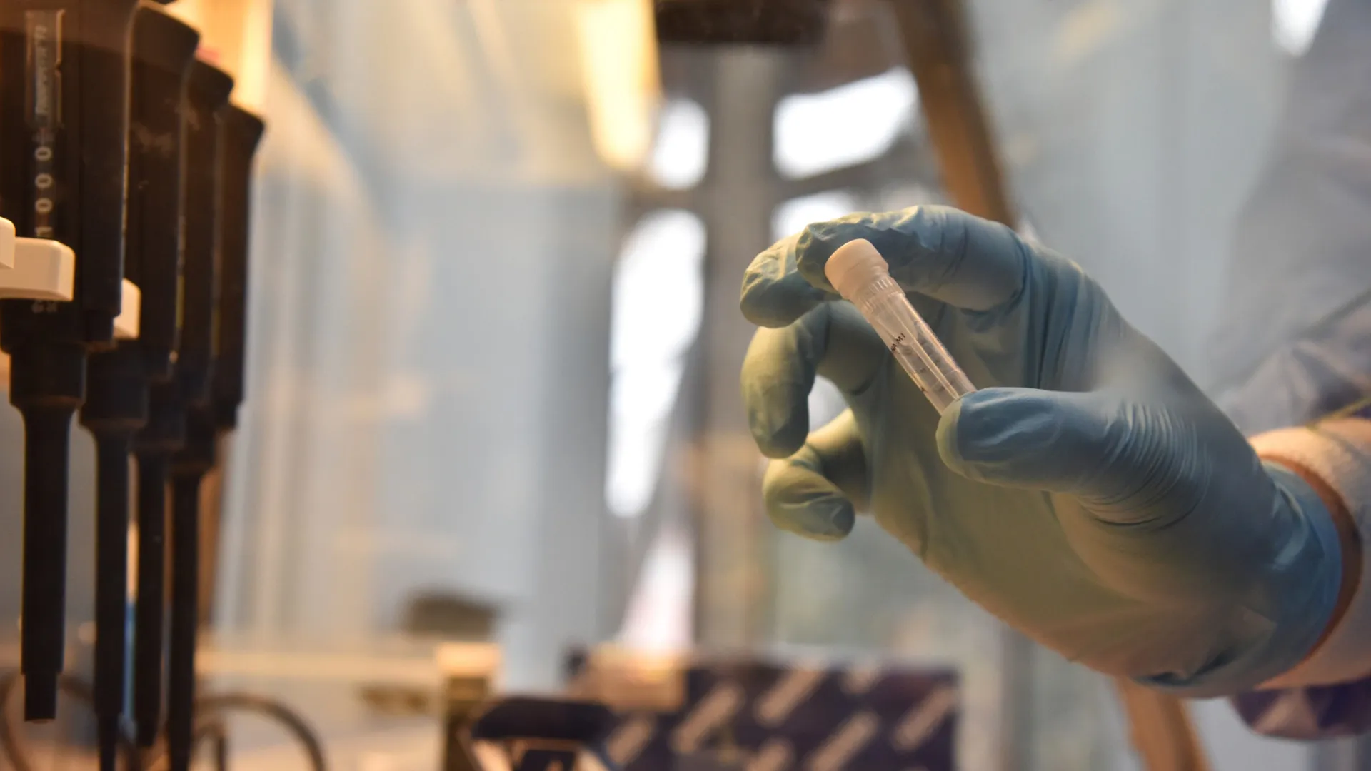 Testes de DNA de ancestralidade: são realmente confiáveis? - img