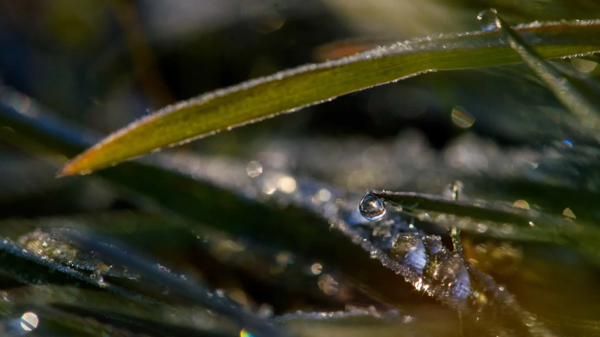 Baixas temperaturas podem causar geadas no Sul e Sudeste, diz Inmet - img