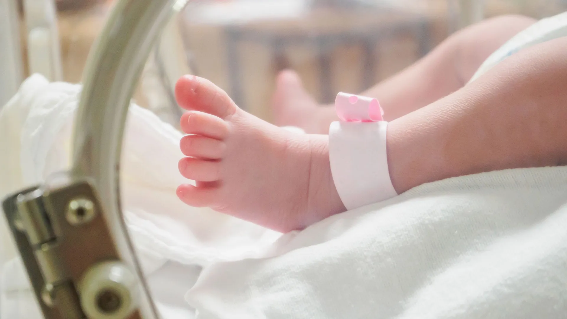 Bebês são transferidos após registro de piolho de pombo em UTI neonatal em Belo Horizonte - img