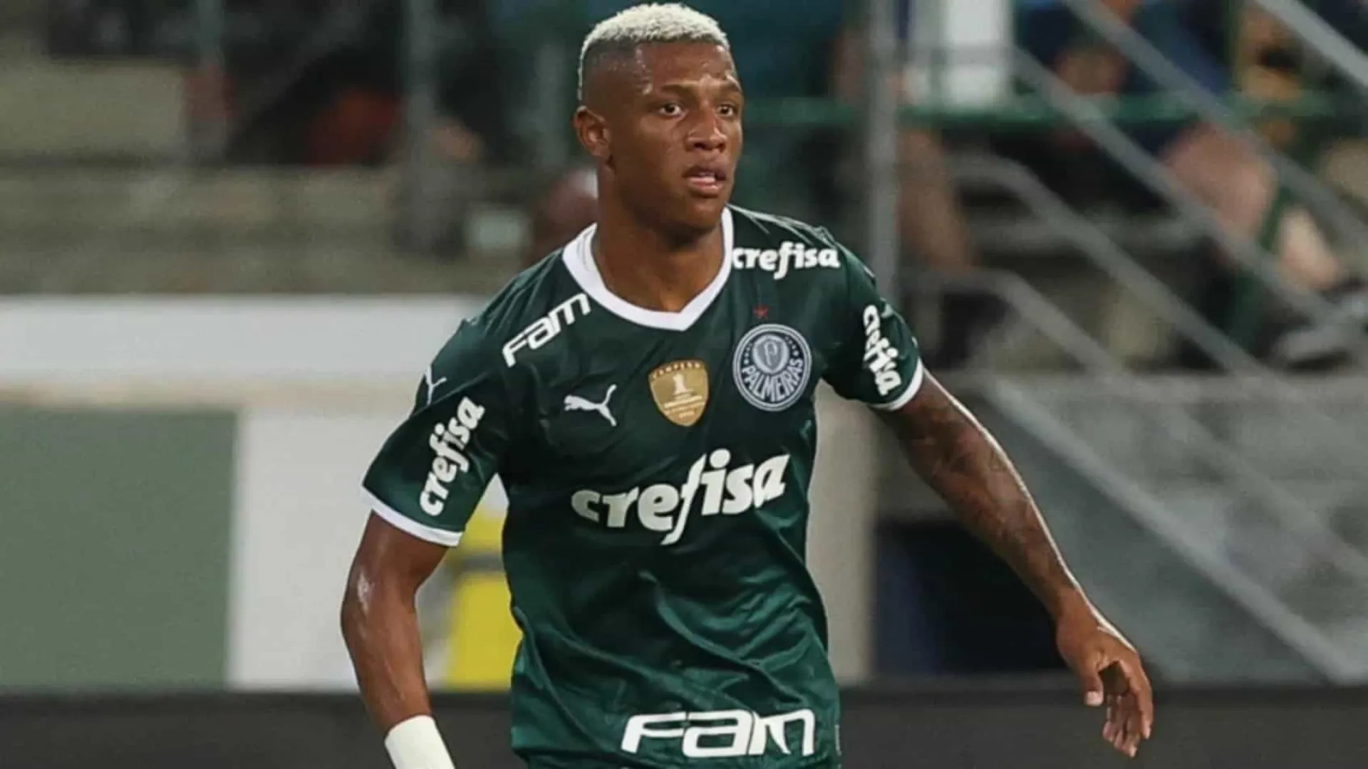 Botafogo anuncia o volante Danilo, ex-Palmeiras, até 2029 - img