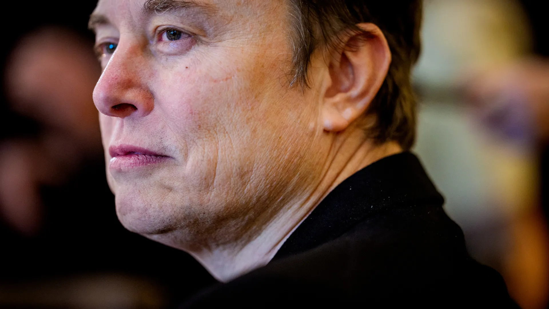 Brigado com Trump, Musk anuncia o 'Partido América' - img