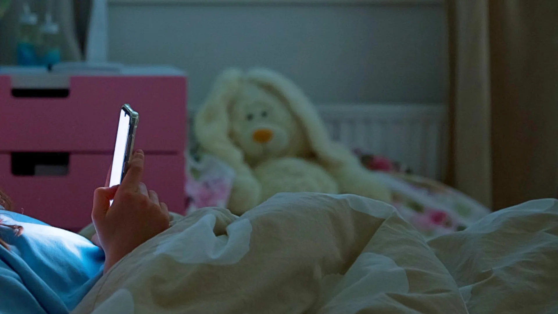 Conheça projeto que regula redes sociais para crianças e adolescentes - img