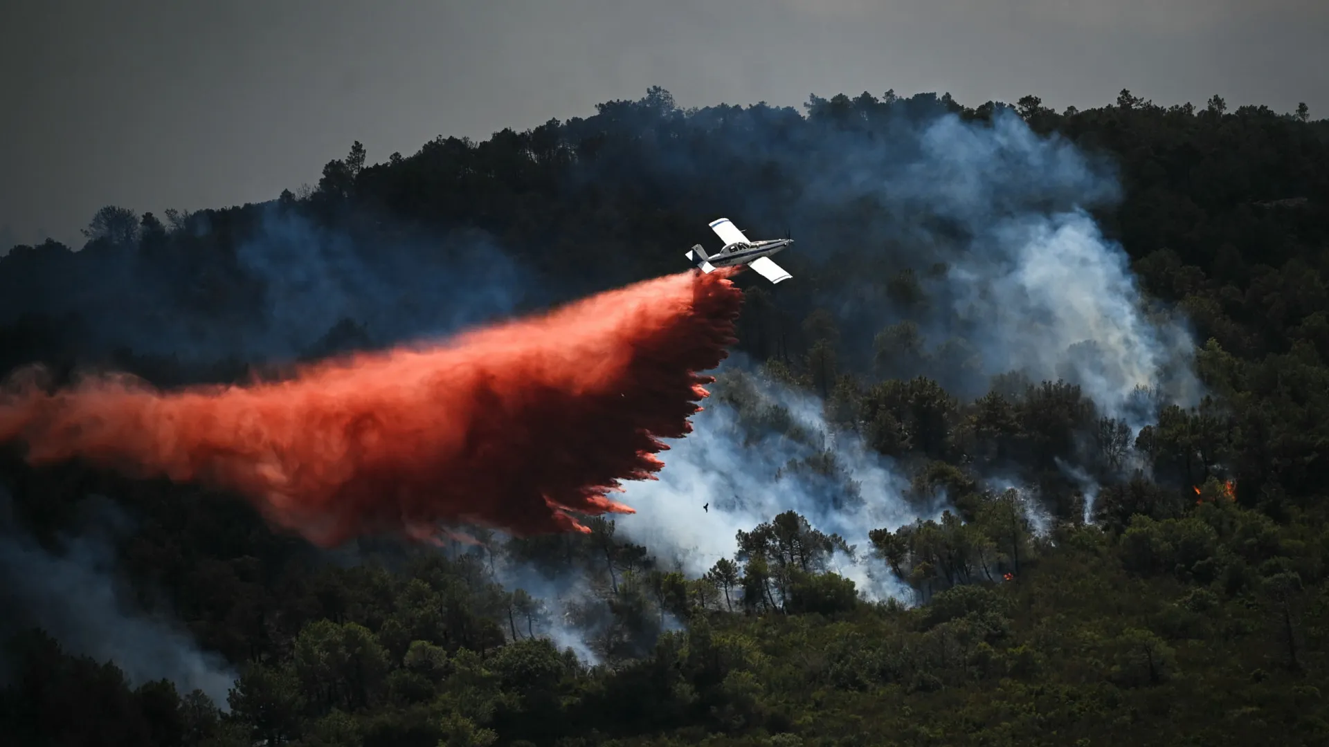 Grande incêndio florestal mata 1 e fere 13 no sul da França - img