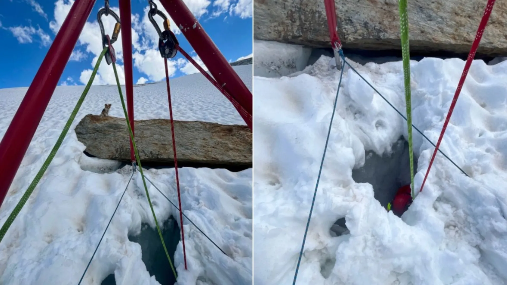 Herói de 4 patas: Chihuahua 'salva' dono que caiu em fenda glacial - img