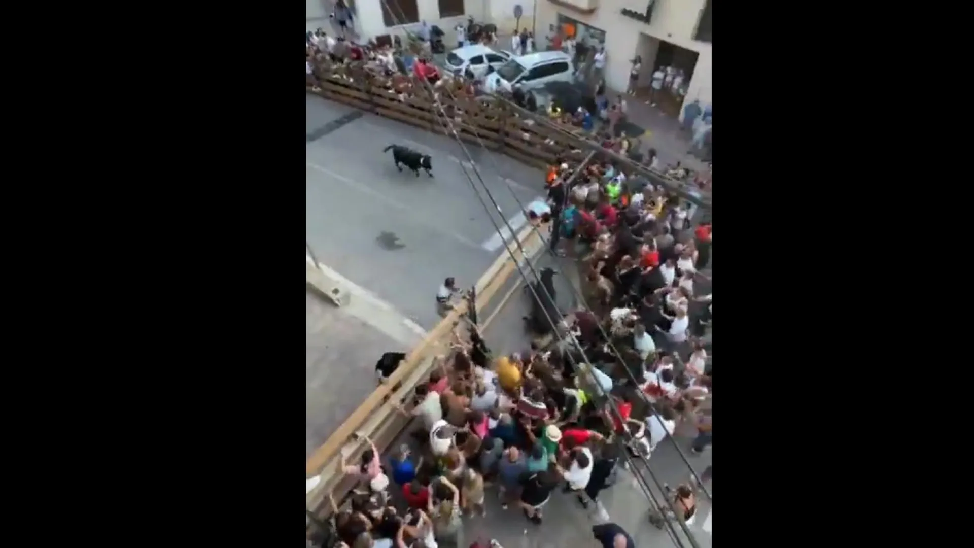 Touro quebra barreira e gera pânico ao fugir de recinto na Espanha; vídeo - img