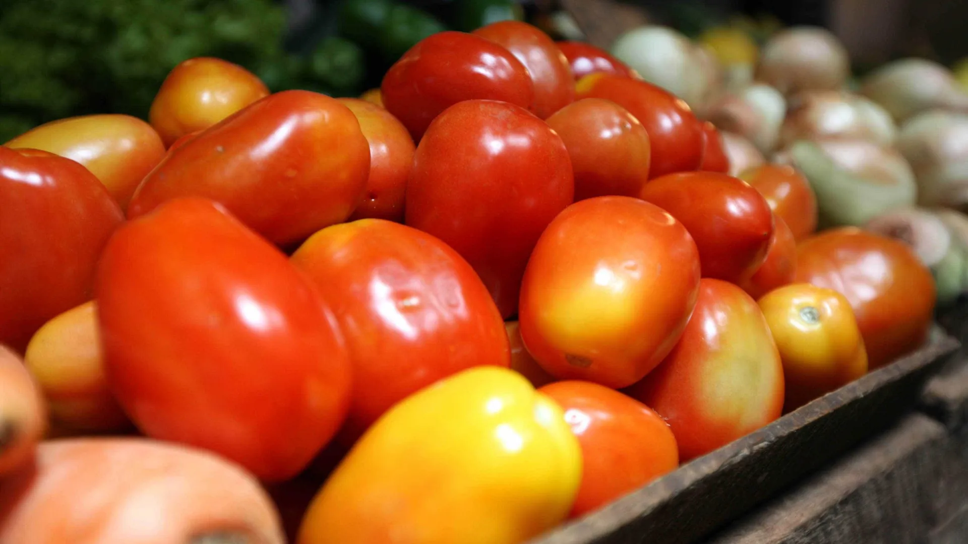 Brasil abre mercado para produto agropecuário na Argentina e no Paraguai - img