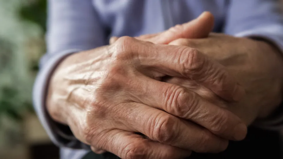 Mulher de 95 anos é acusada de matar sobrevivente do Holocausto - img
