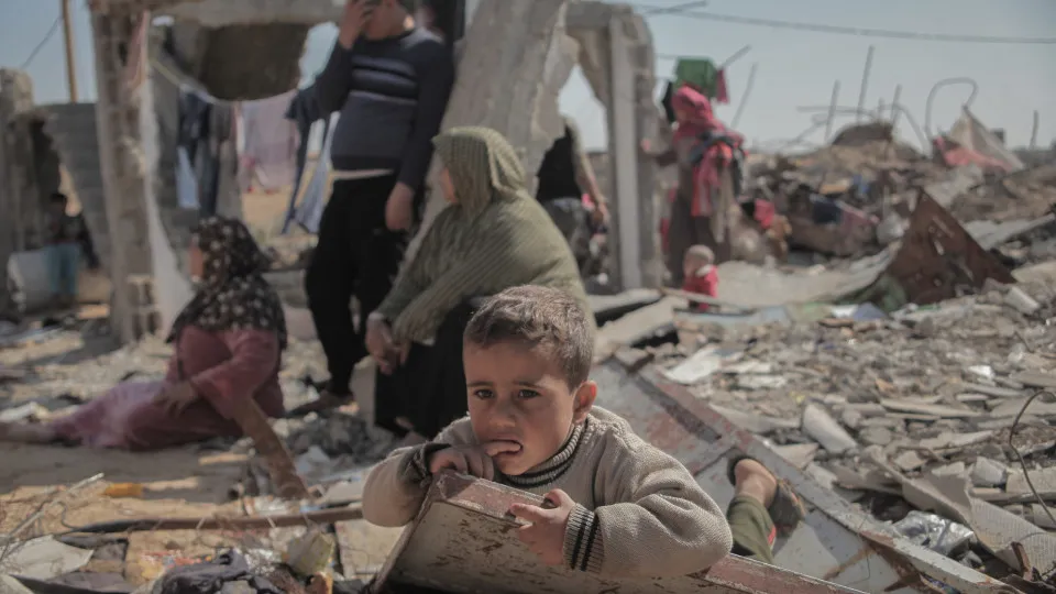ONG suspende atuação na Cidade de Gaza após 'implacável ofensiva' de Israel - img