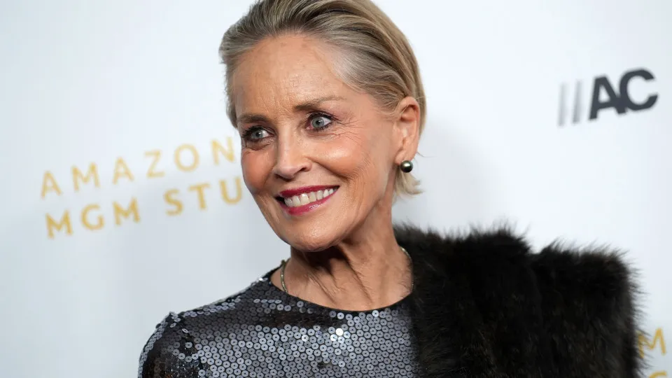 Sharon Stone diz que ainda ganha mais como modelo do que como atriz - img