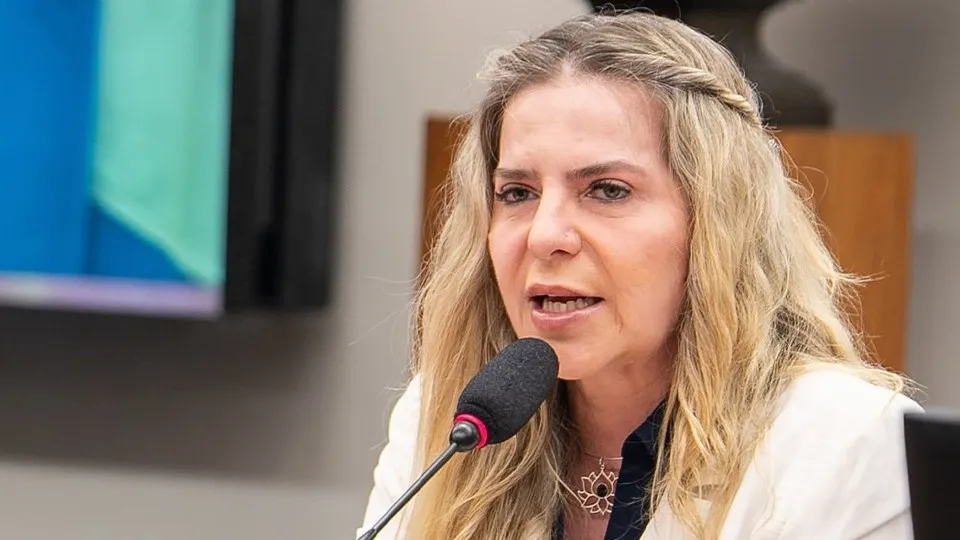 Deputada do PT está em flotilha interceptada por Israel a caminho de Gaza - img