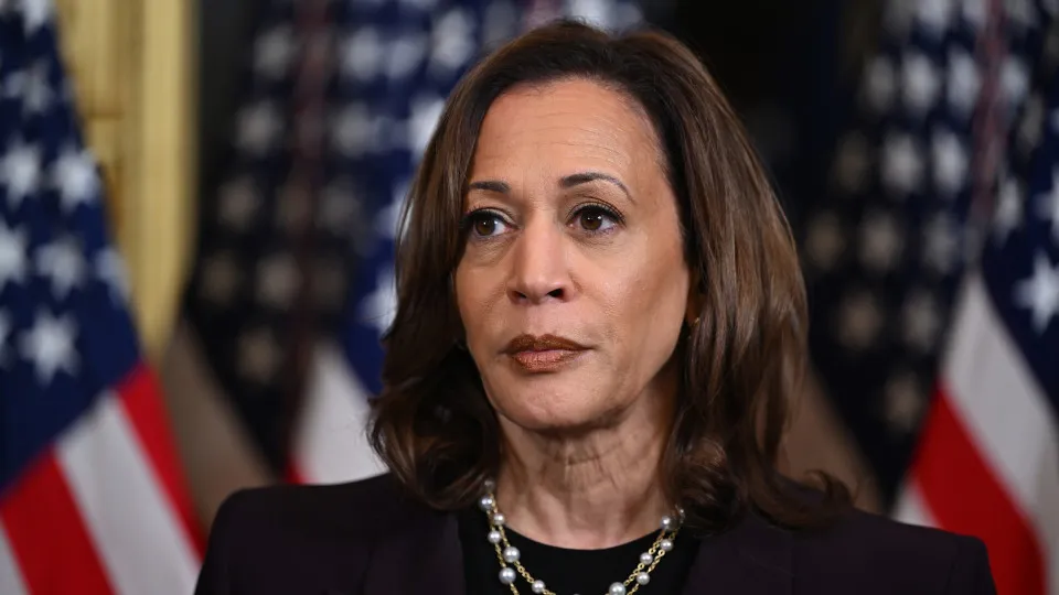 Derrotada por Trump, Kamala Harris diz querer voltar a disputar presidência - img