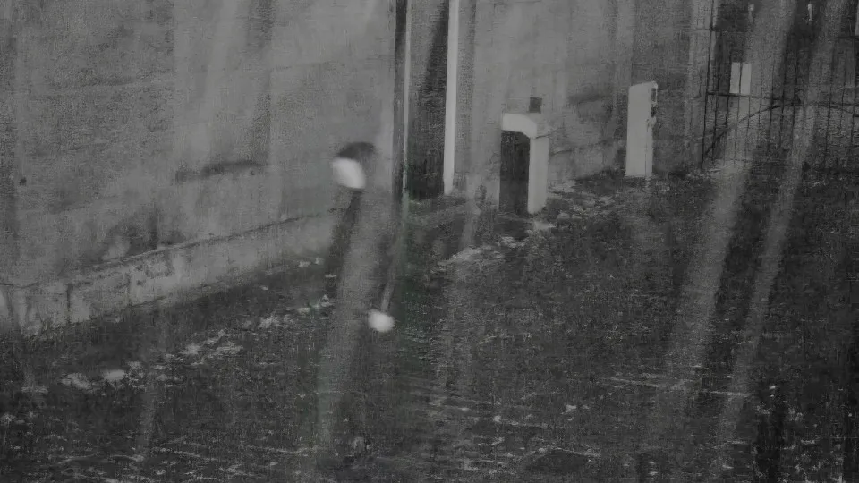 Fantasma? Câmaras de vigilância de castelo inglês captam figura sem rosto - img
